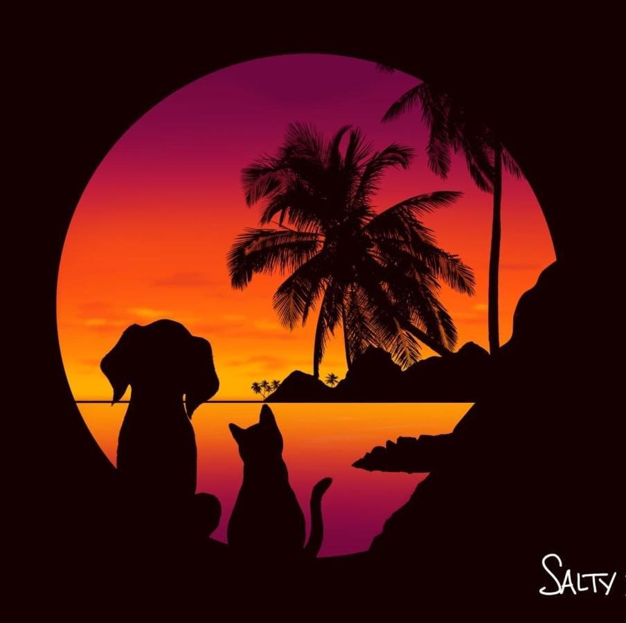 Salty Dog Hostel Telukdalem Ngoại thất bức ảnh