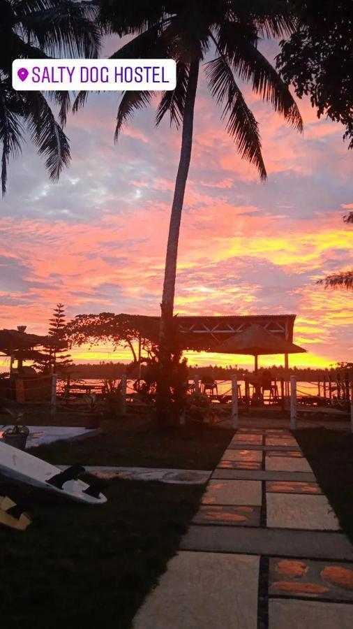 Salty Dog Hostel Telukdalem Ngoại thất bức ảnh