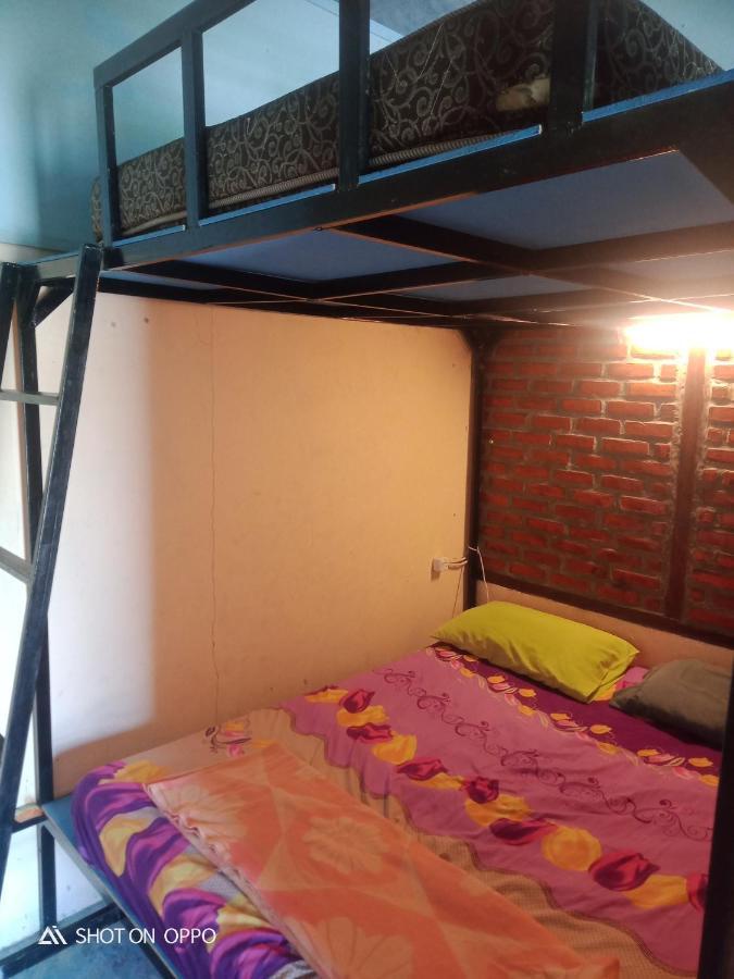 Salty Dog Hostel Telukdalem Ngoại thất bức ảnh